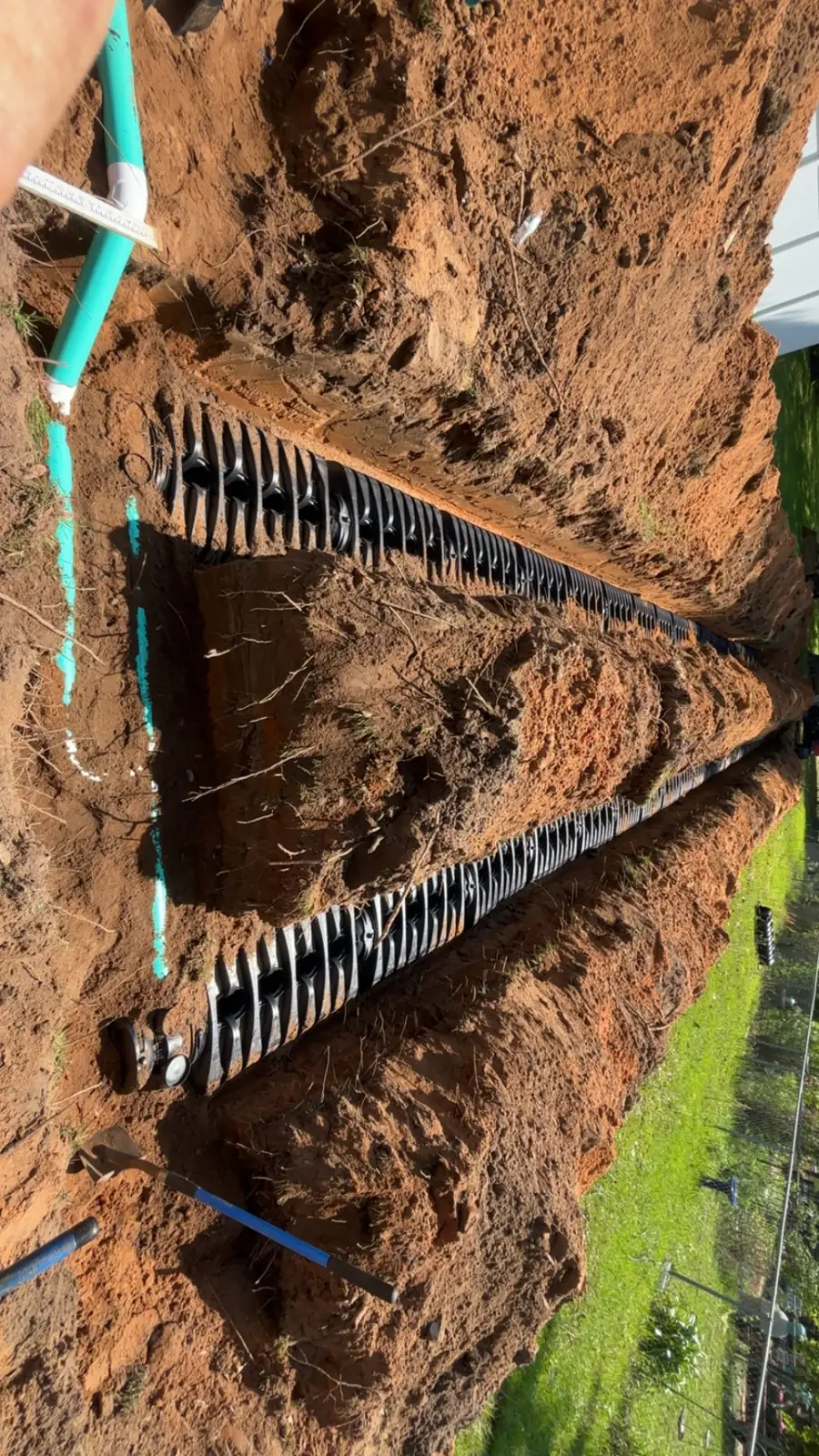 Looking down into chamber field lines with pipe running through